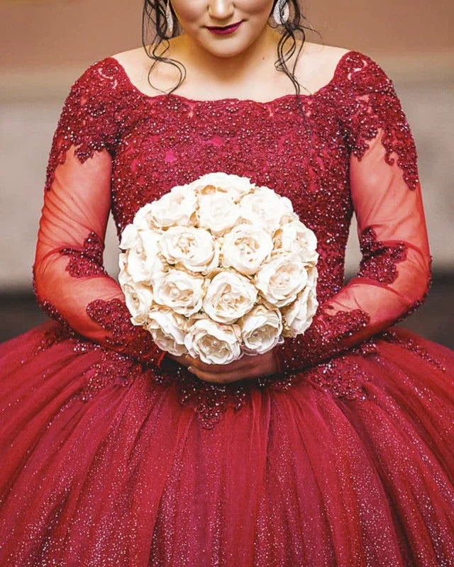 Elegant Ball Gown Quinceanera Dresses Lace Long Sleeves