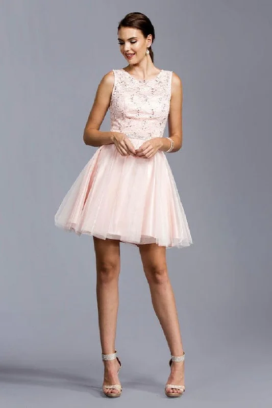 Hot Deals You Can’t Resist!Sleeveleass Short Homecoming Dress
