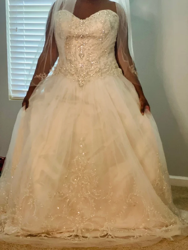 Shop Before It’s Gone!Casablanca Ambrosia 2276