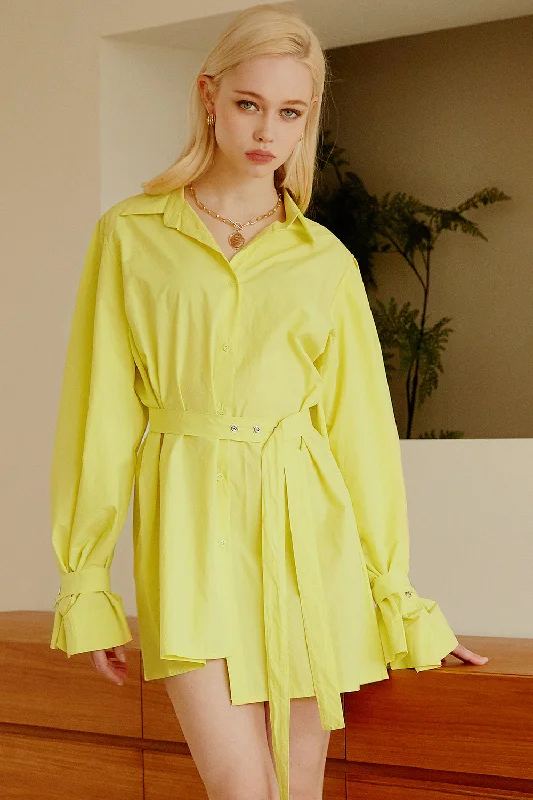 New Discounts Just Dropped!Tenley Asymmetric Hem Shirt Dress